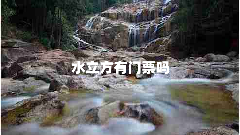水立方有門(mén)票嗎