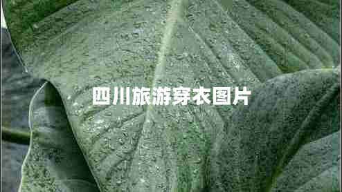 四川旅游穿衣圖片