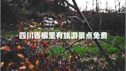 四川省哪里有旅游景點(diǎn)免費