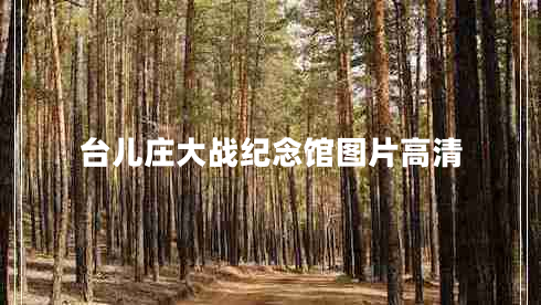 臺兒莊大戰(zhàn)紀(jì)念館圖片高清