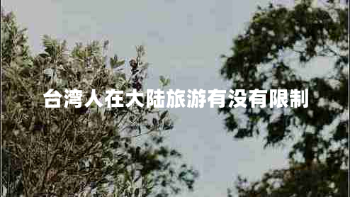 臺灣人在大陸旅游有沒(méi)有限制