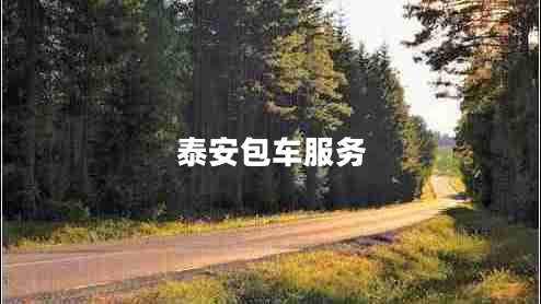 泰安包車(chē)服務(wù)