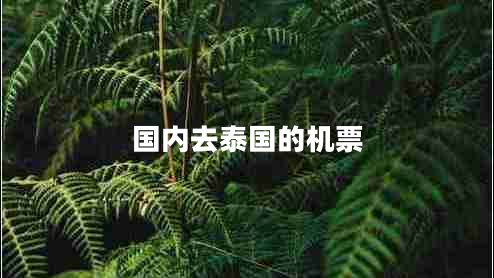 國(guó)內(nèi)去泰國(guó)的機(jī)票