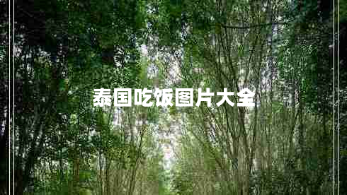 泰國吃飯圖片大全
