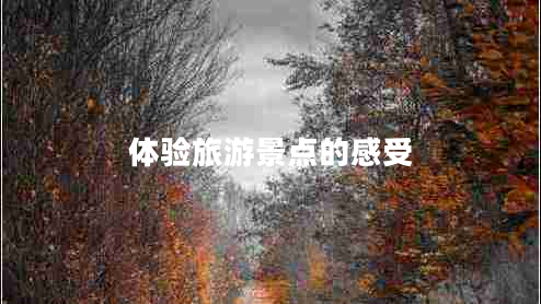 體驗旅游景點(diǎn)的感受