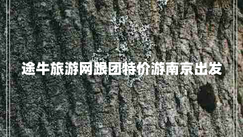 途牛旅游網(wǎng)跟團特價(jià)游南京出發(fā)