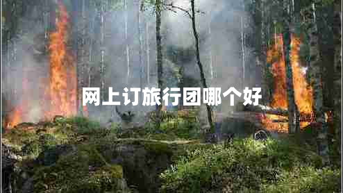 網上訂旅行團哪個好