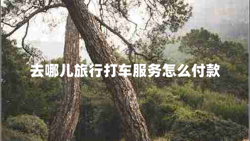 去哪兒旅行打車服務(wù)怎么付款