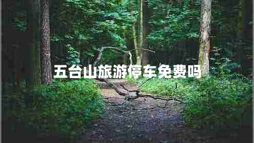 五臺山旅游停車免費嗎