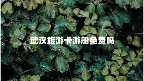 武漢旅游卡游船免費(fèi)嗎