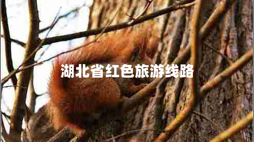 湖北省紅色旅游線(xiàn)路