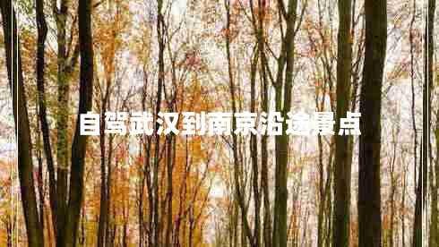 自駕武漢到南京沿途景點(diǎn)