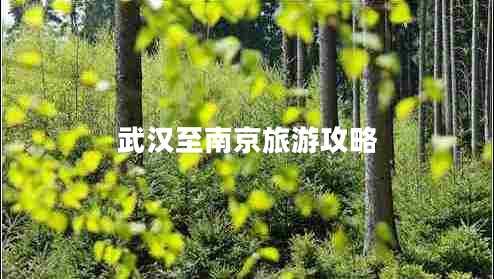 武漢至南京旅游攻略