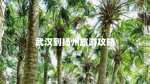 武漢到揚州旅游攻略