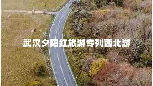 武漢夕陽(yáng)紅旅游專列西北游