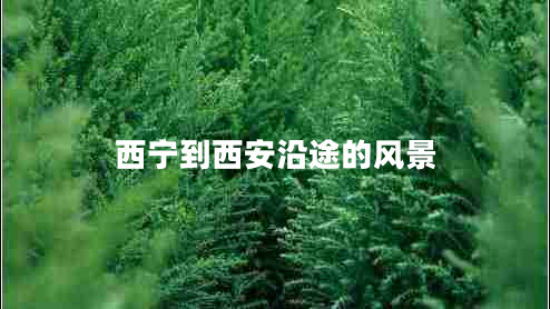 西寧到西安沿途的風(fēng)景
