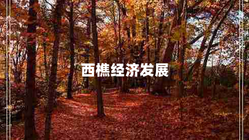 西樵經(jīng)濟發(fā)展