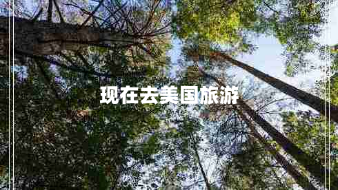 現(xiàn)在去美國旅游