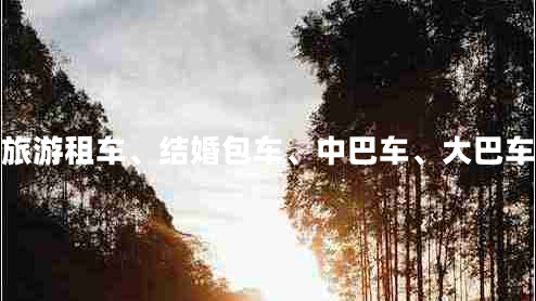 咸陽企業(yè)旅游租車、結(jié)婚包車、中巴車、大巴車、商務(wù)車