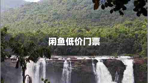 閑魚(yú)低價(jià)門(mén)票