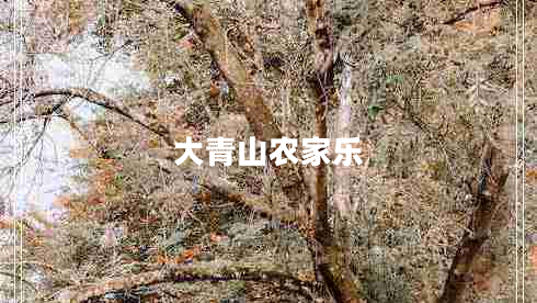 大青山農(nóng)家樂