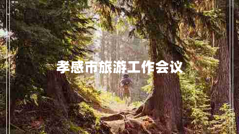孝感市旅游工作會(huì)議