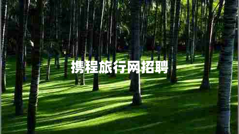 攜程旅行網(wǎng)招聘