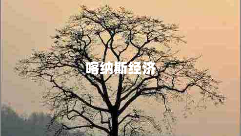 喀納斯經濟