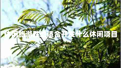 休閑旅游勝地適合開(kāi)發(fā)什么休閑項(xiàng)目