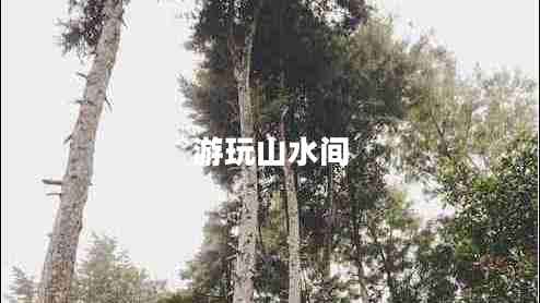 游玩山水間