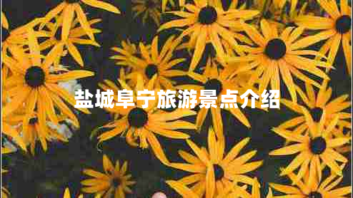 鹽城阜寧旅游景點(diǎn)介紹