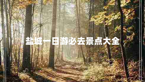 鹽城一日游必去景點(diǎn)大全