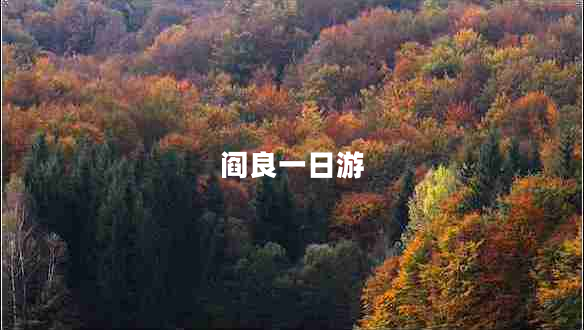 閻良一日游