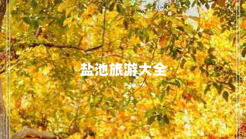 鹽池旅游大全