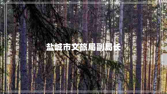 鹽城市文旅局副局長(zhǎng)