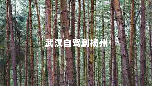 武漢自駕到揚州