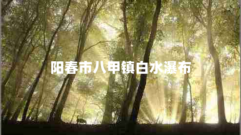 陽(yáng)春市八甲鎮(zhèn)白水瀑布