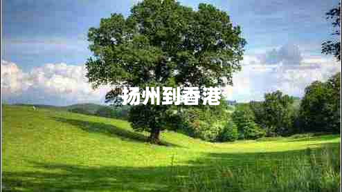 揚州到香港