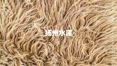 揚(yáng)州水庫
