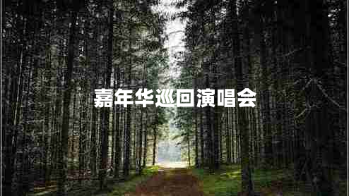 嘉年華巡回演唱會