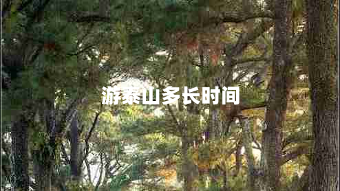 游泰山多長時間