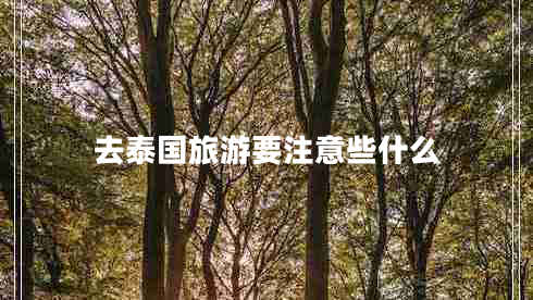 去泰國旅游要注意些什么