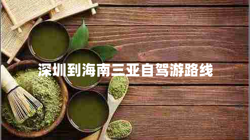 深圳到海南三亞自駕游路線