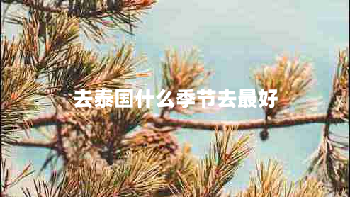 去泰國什么季節(jié)去最好