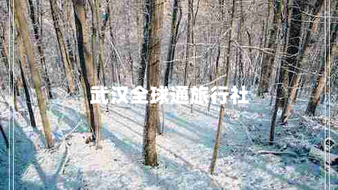 武漢全球通旅行社