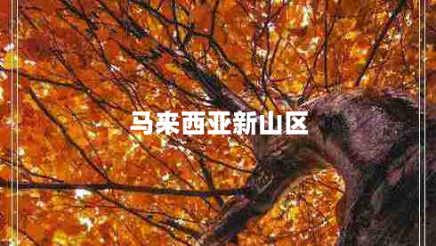 馬來(lái)西亞新山區(qū)