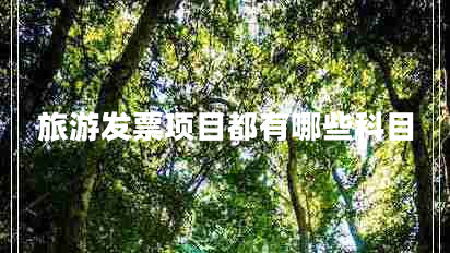 旅游發(fā)票項(xiàng)目都有哪些科目