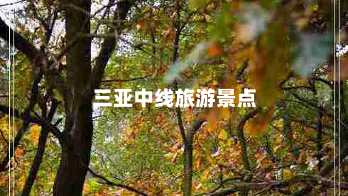 三亞中線旅游景點