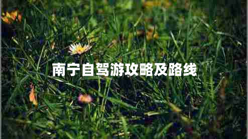 南寧自駕游攻略及路線(xiàn)