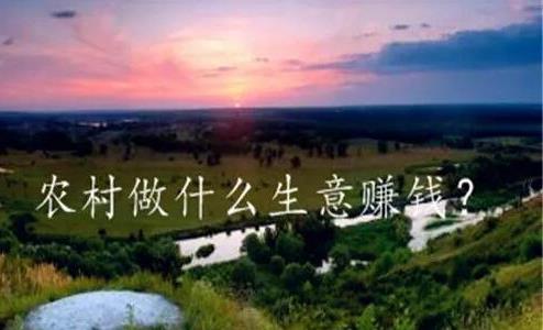農村適合做什么生意